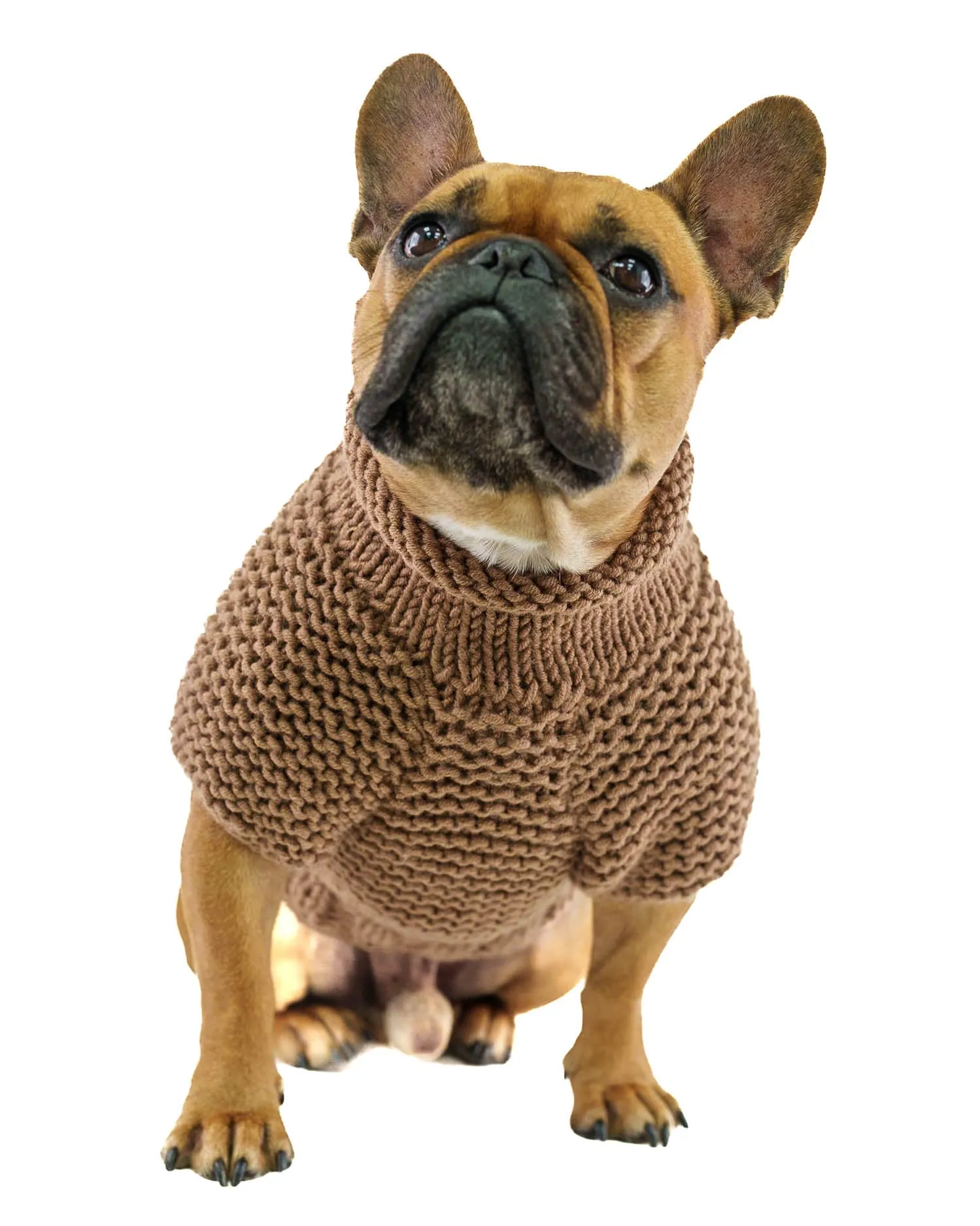 Pet Sweater