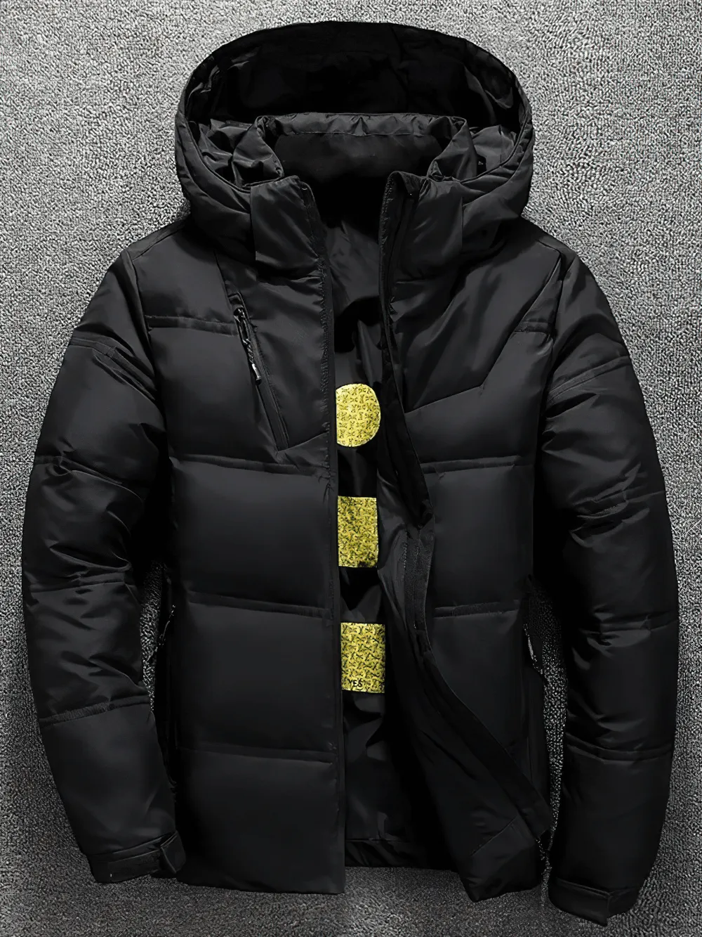 Stylish Men’s Down Jacket Hooded with Zipper - SF2266